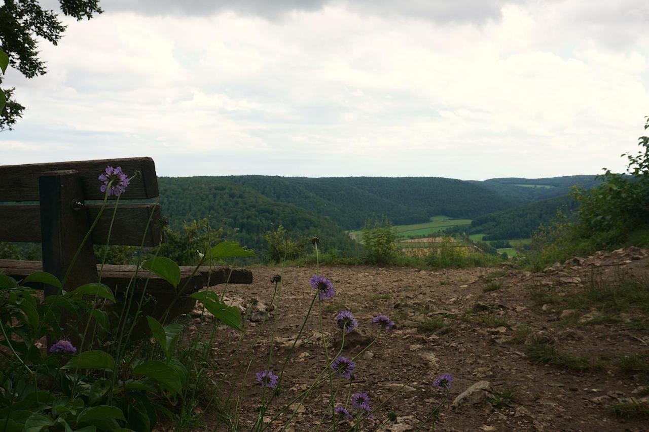 Ferienwohnung Reimann Mit Kostenloser Albcard Blaubeuren Zewnętrze zdjęcie